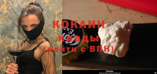 стафф Елизово
