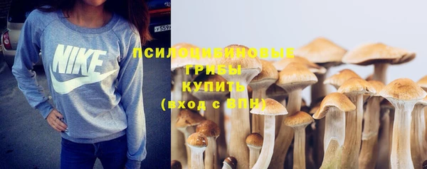 стафф Елизово