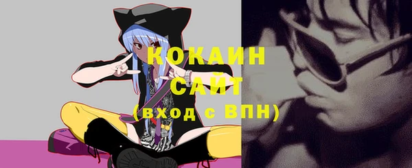 стафф Елизово