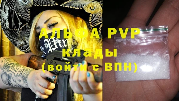 стафф Елизово