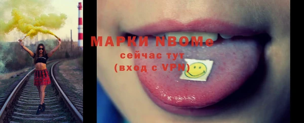 стафф Елизово