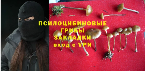 стафф Елизово