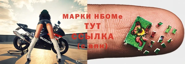 стафф Елизово