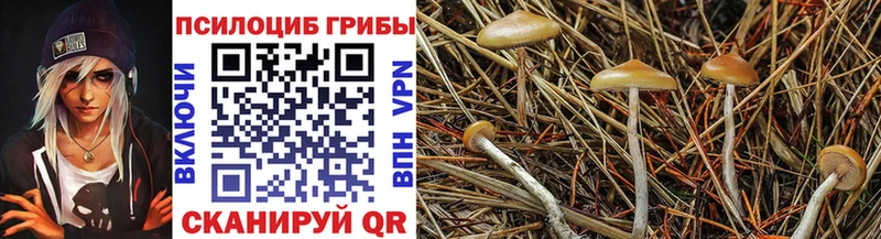 Псилоцибиновые грибы ЛСД Южноуральск